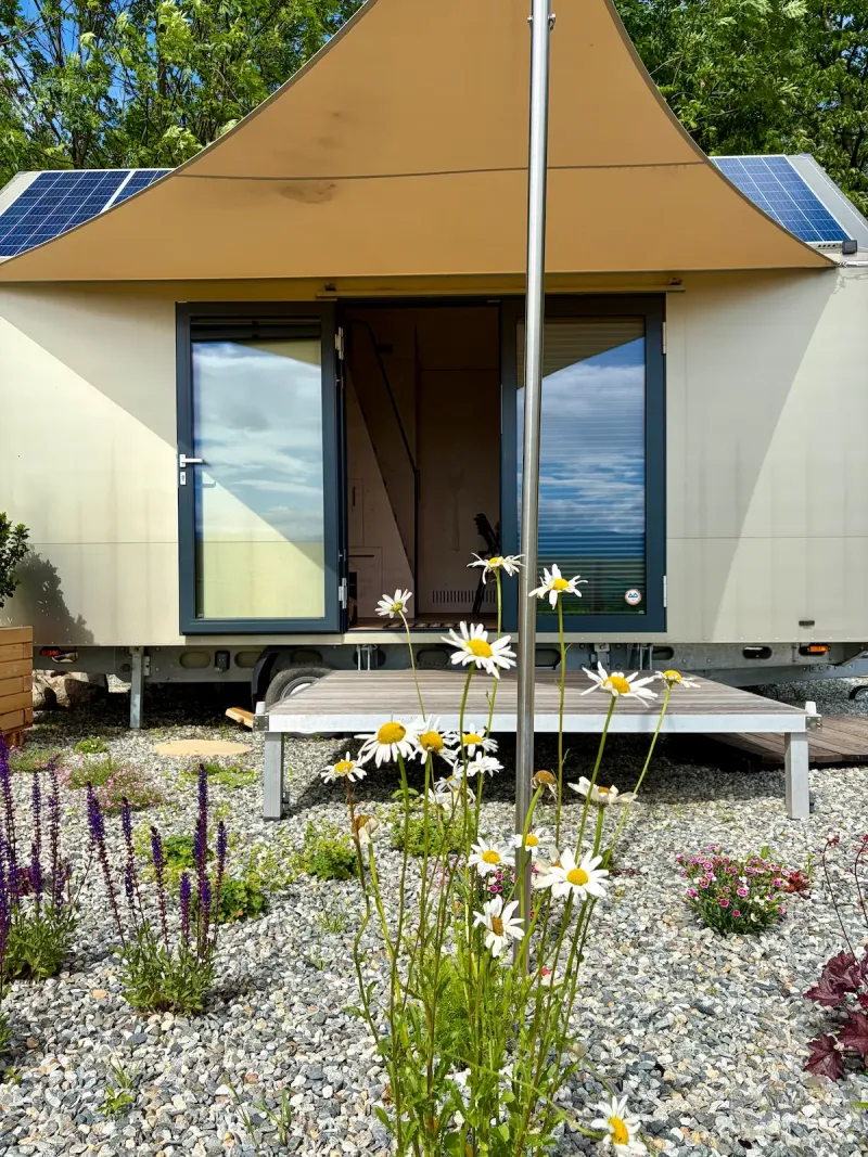 Johanka wellness area among summer daisies — sauna and hot tub, Rychlebské hory mountains